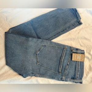 Madewell 10” high rise skinny 27 petite